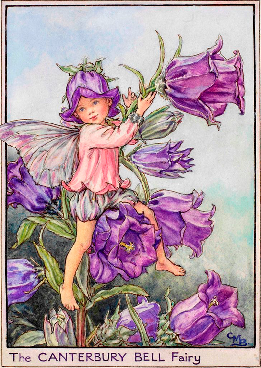 Fairies of the Wayside - September - The Canterbury Bell Fairy