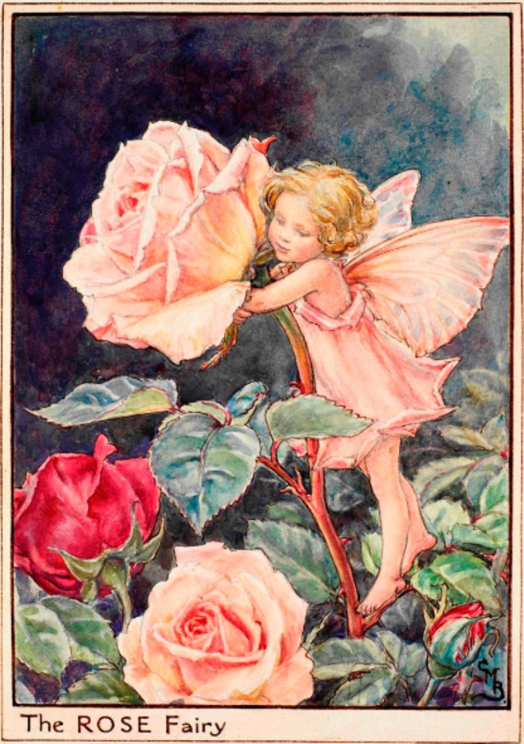 Flower Fairy Club - May - The Rose Fairy