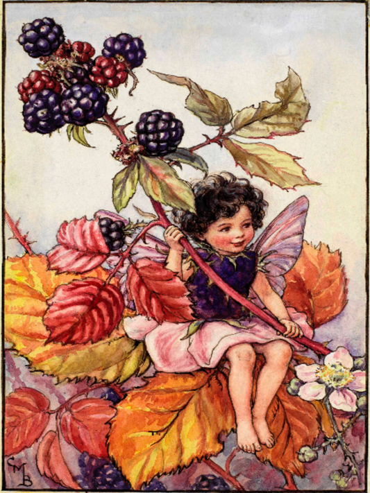 Flower Fairy Club - October - The Blackberry Fairy
