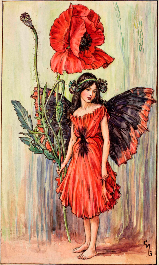 Flower Fairy Club - August - The Poppy Fairy