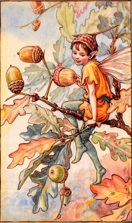 Flower Fairy Club - September - The Acorn Fairy