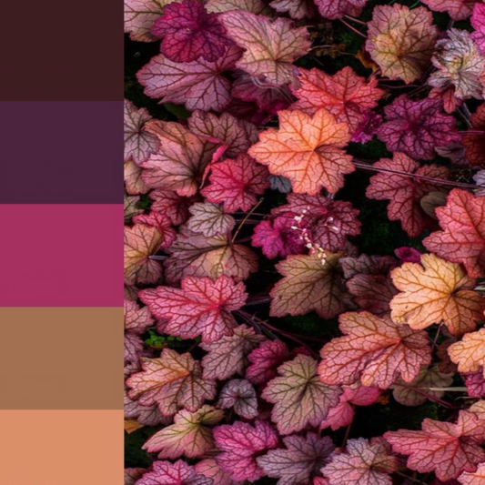 Autumn Walks - Full Set - pre-Order (Copy)